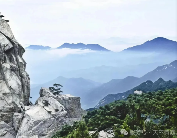 1758522520572841.png 12.png